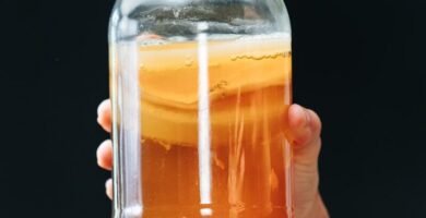 Refresco kombucha